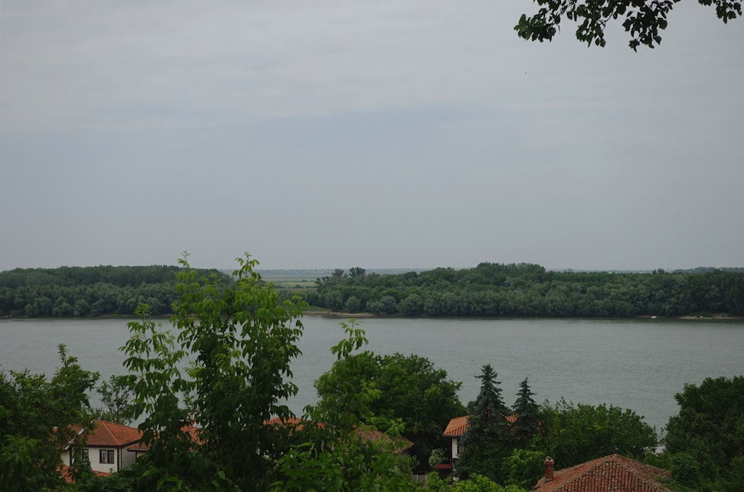 Photo Delta Dunării