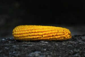 Photo diversify crops
