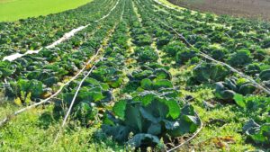 Photo agricultură durabilă