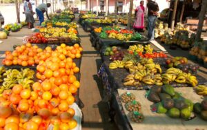 Photo sell agricultural products