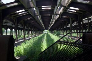 Photo ferme ecologice