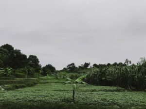 Photo ferme ecologice