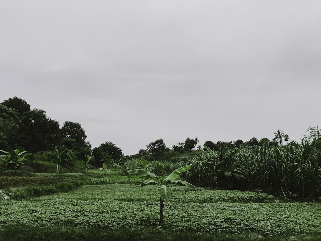 Photo ferme ecologice