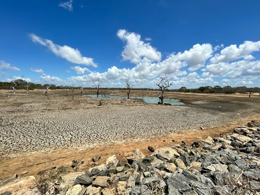 Photo climate change