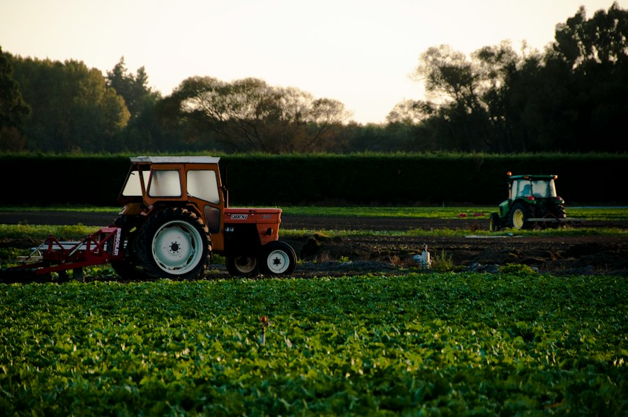 Photo local producers