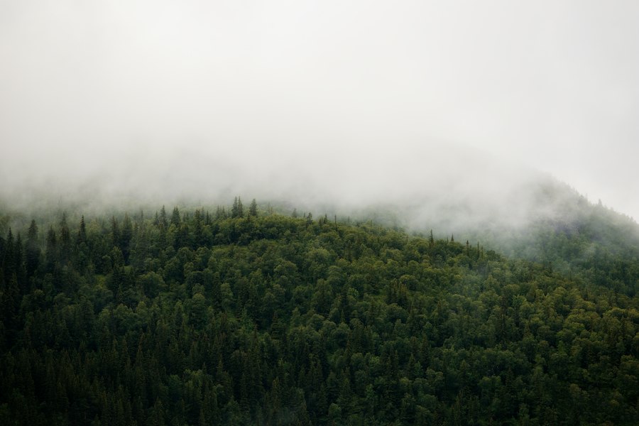 Photo sustainability