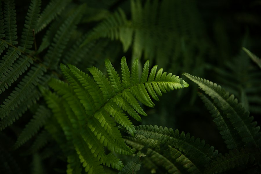 sustainability